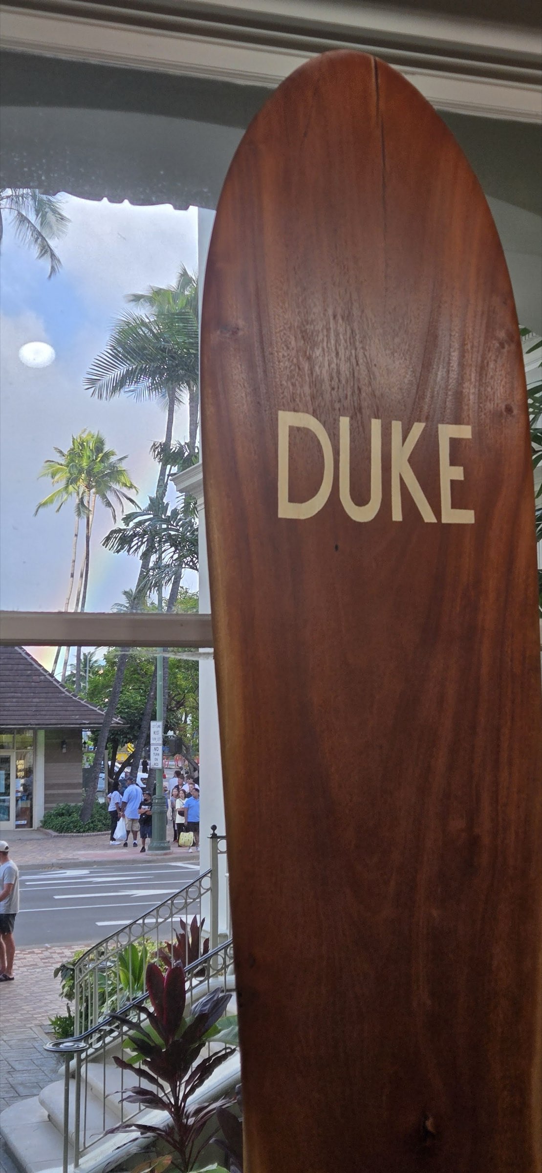 The nose of a dark wooden surfboard against a tall window, with palm trees and the street beyond.